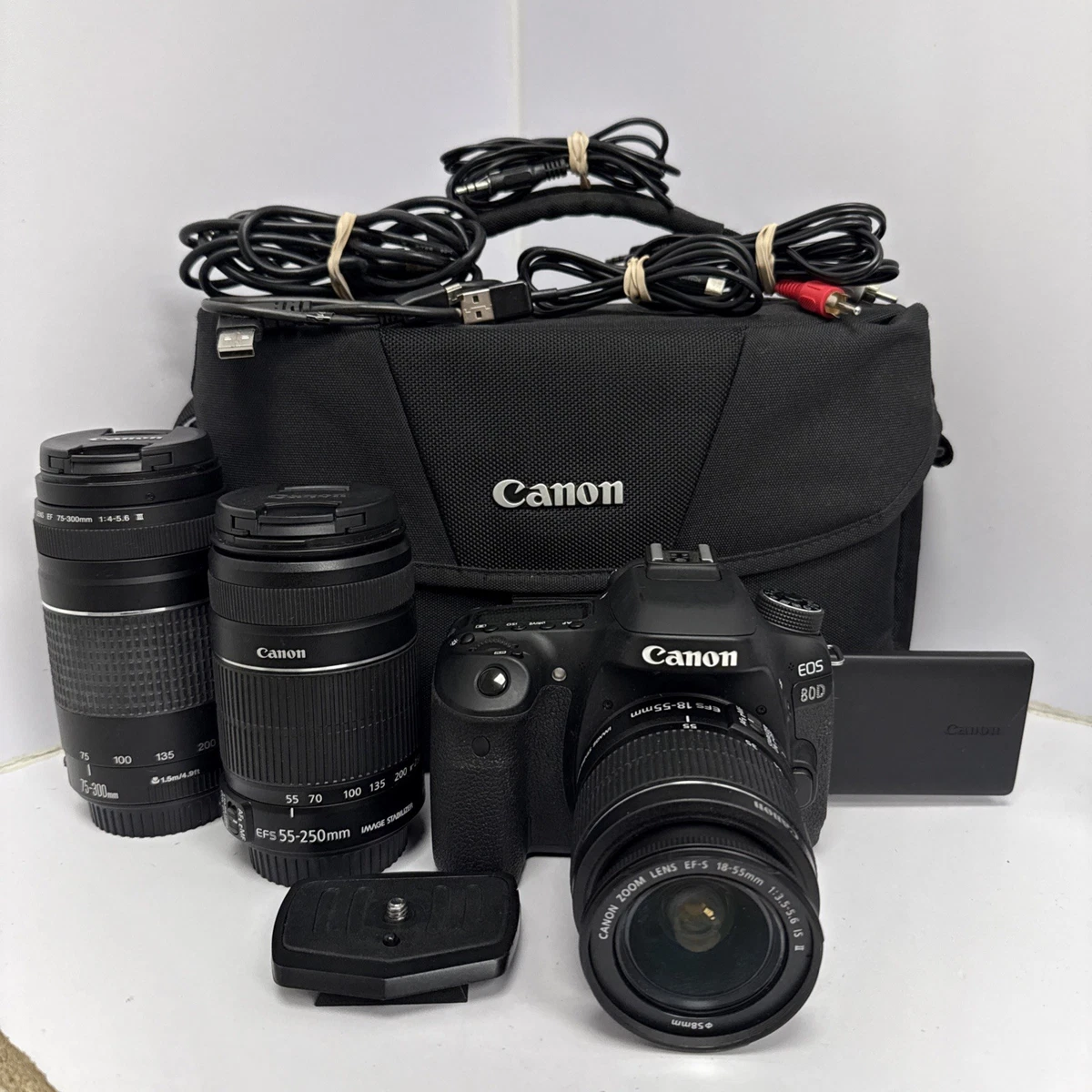 Canon EOS 80D Digital SLR Cameras for Sale - Shop New & Used