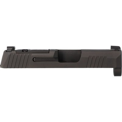 Sig Sauer P365 STD 3.1