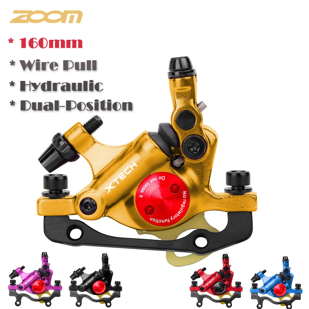 Zoom hb100 2024