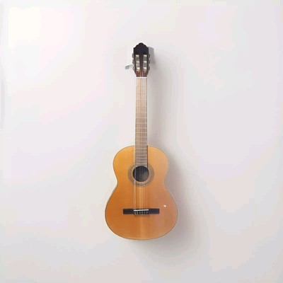 Greg Bennett Samich Acoustic Guitar 6 String