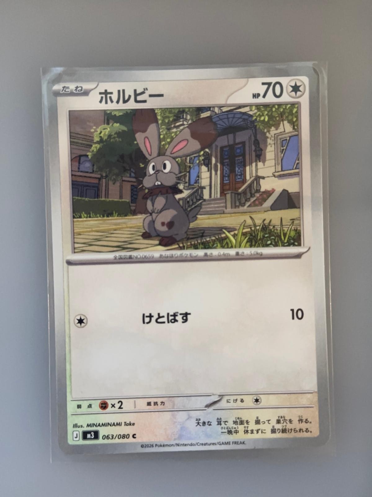 Bunnelby 063/080 Common Nihil Zero Pokemon Japanese NM/M