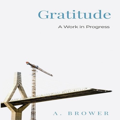 Gratitude A Work In Progress A. Brower Paperback New Degree Press