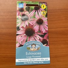 Mr Fothergills, Echinacea, Large Flowered, 50 Seeds, Sow By End 2028, Free Post