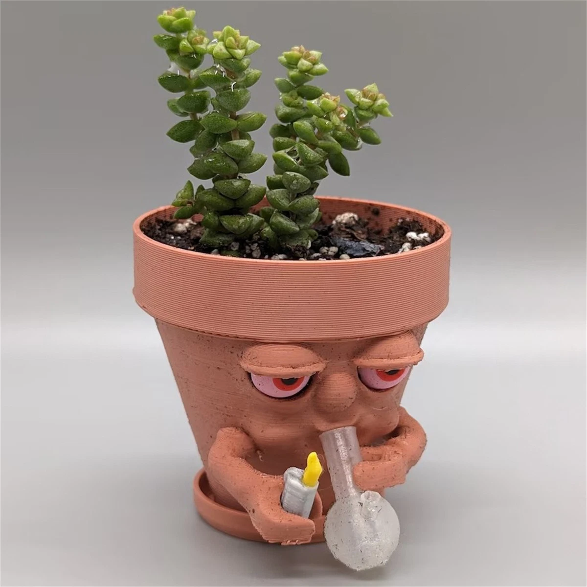 Cool on sale plant pots