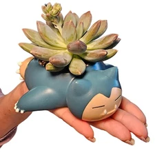 Snorlax Pokemon Planter Pot 3" - Anime Succulent Plant Flowerpot | Anime Gift