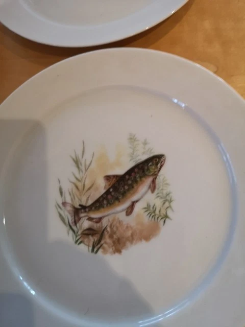 6 X Fischteller für Fischfreunde und Angler - Bild 2 von 4