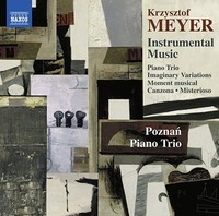 Krzysztof Meyer - Instrumental Music - Cd - G4Z