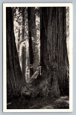 Postcard CA Muir Woods Woman Lounging on Redwood Root Redwood Empire Assoc  J319
