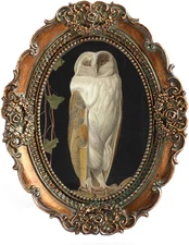 Mini Picture Frames 2.5x3.5 Small Vintage Oval Picture Frames for Wall and Table