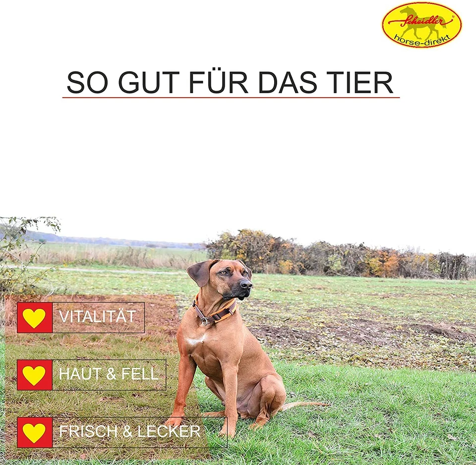 Horse-direkt Lachsöl 2 x 1 Liter, Omega 3+6 - Barföl, Hunde, Katzen, - Bild 2 von 4