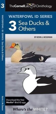 The Cornell Lab of Ornithology Waterfowl ID 3 Sea Ducks & Others by Kevin J. McG