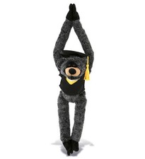 PLUSH GRADUATION - SUPER SOFT PLUSH - LONG ARMS - BLACK BEAR
