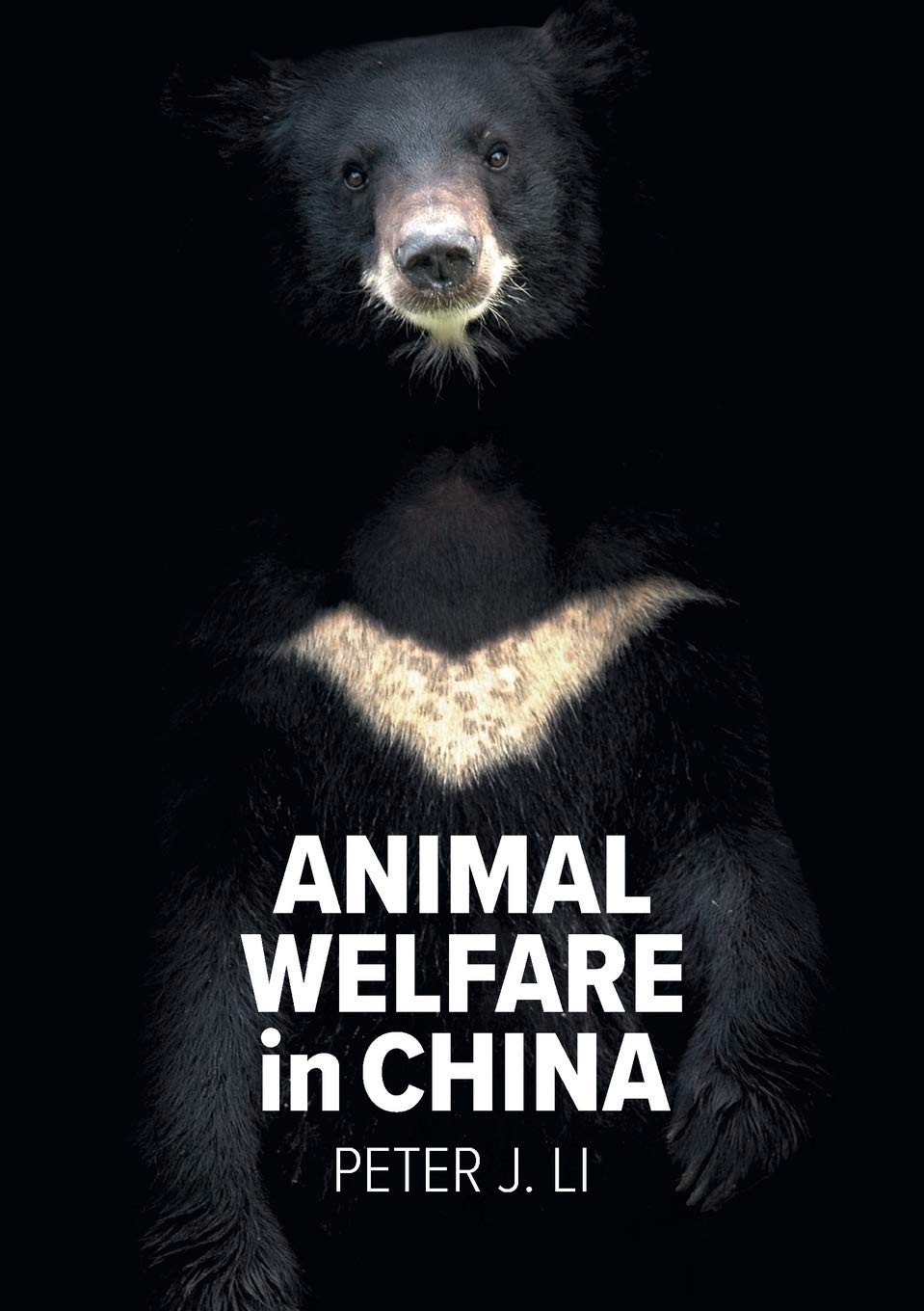 Animal Welfare In China - Image 3