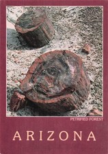 ETATS UNIS PETRIFIED FOREST PETRIFIED FOREST NATIONAL PARK