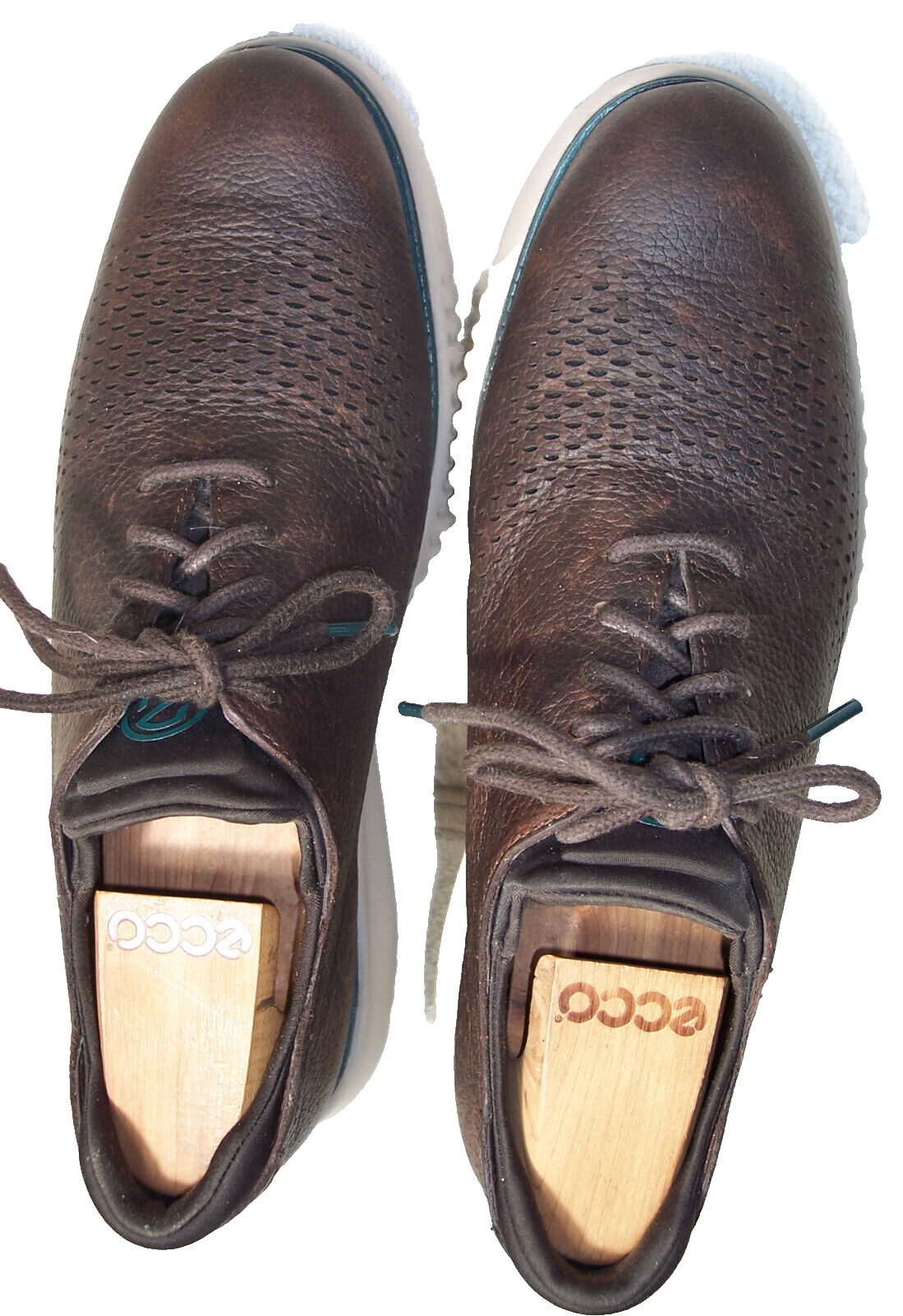 SAOLA Oxford punta alare laser foderata laser Cole Haan 2° Zerogrand taglia 8 5M marrone