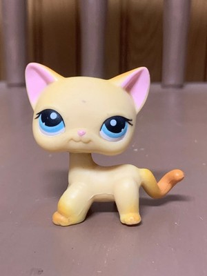 Littlest Pet Shop  LPS #339 Orange Shorthair Cat Blue Eyes Brooke Hayes