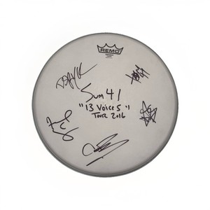 Sum 41 13 Voices | eBay