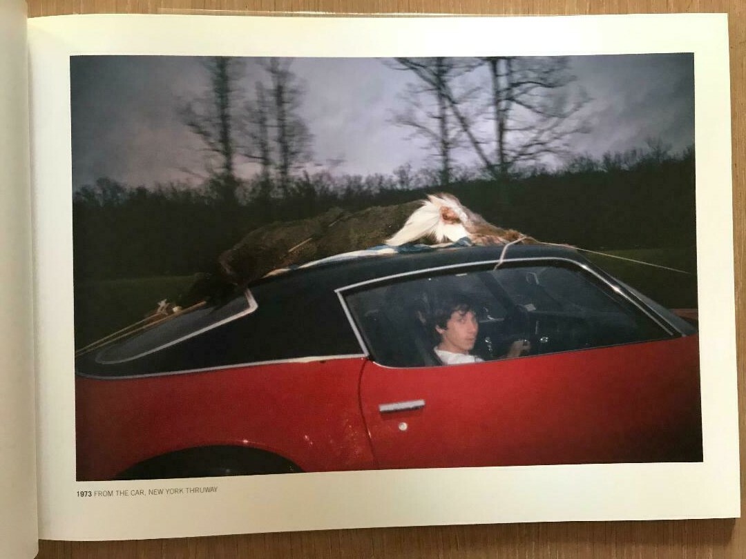 Rare SIGNED Joel MEYEROWITZ Out of the Ordinary 1970-1980 Episode