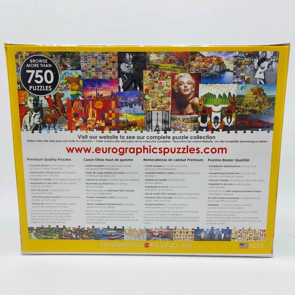 New - Eurographics Inc Color-Me Puzzle Town Houses: 300 Pcs Victorian Art 19x13 - Image 3 of 4