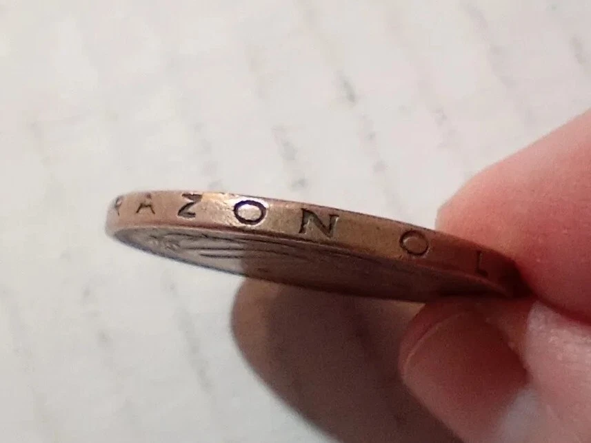 100 Pesos 1996 Chile Coin Deer Condor Feathers Por La Razon O La Fuerza - Image 3 of 3