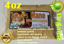 4 oz Lions/lion's mane mushroom, Natural Organic lions mane mushroom powder 113g