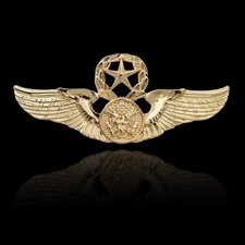 WINGS LAPEL PIN GOLD COLOR METAL RETRO FASHION MILITARY STYLE WINGS BADGE BROOCH