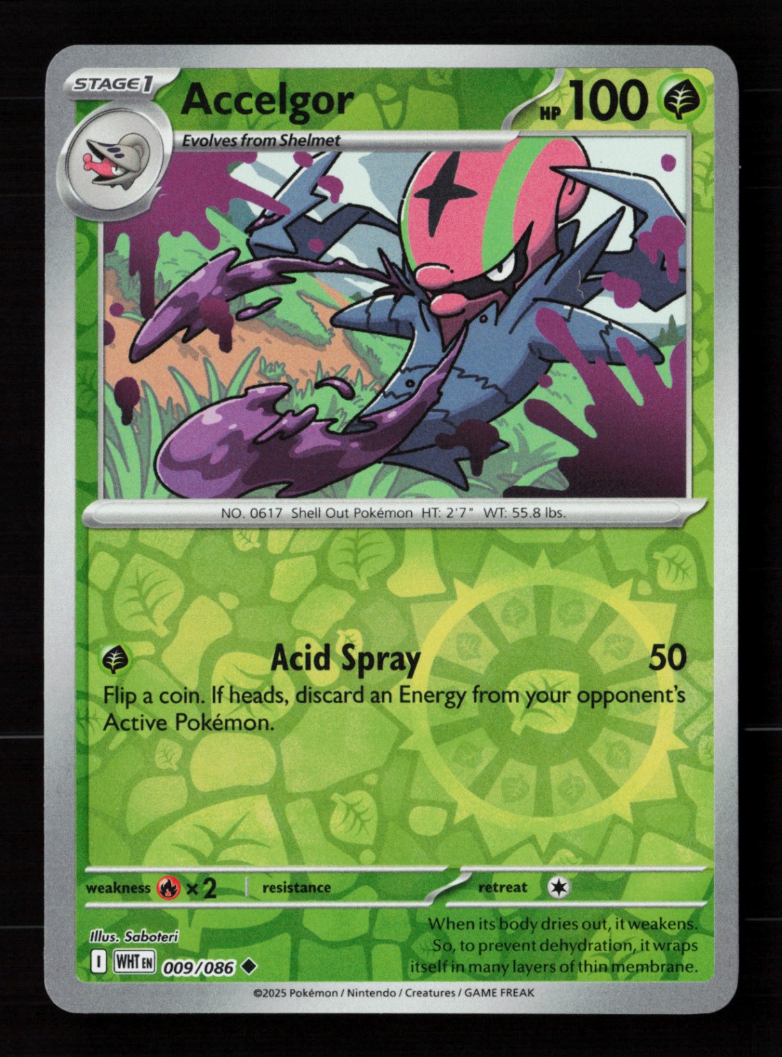 Accelgor 009/086 Reverse Holo Pokemon TCG SV: White Flare NM