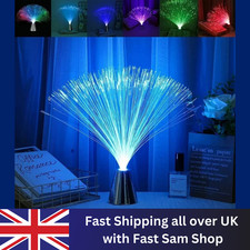 LED Multi Colour Changing Fibre Optic Fountain Night Home Light Lamp Gift