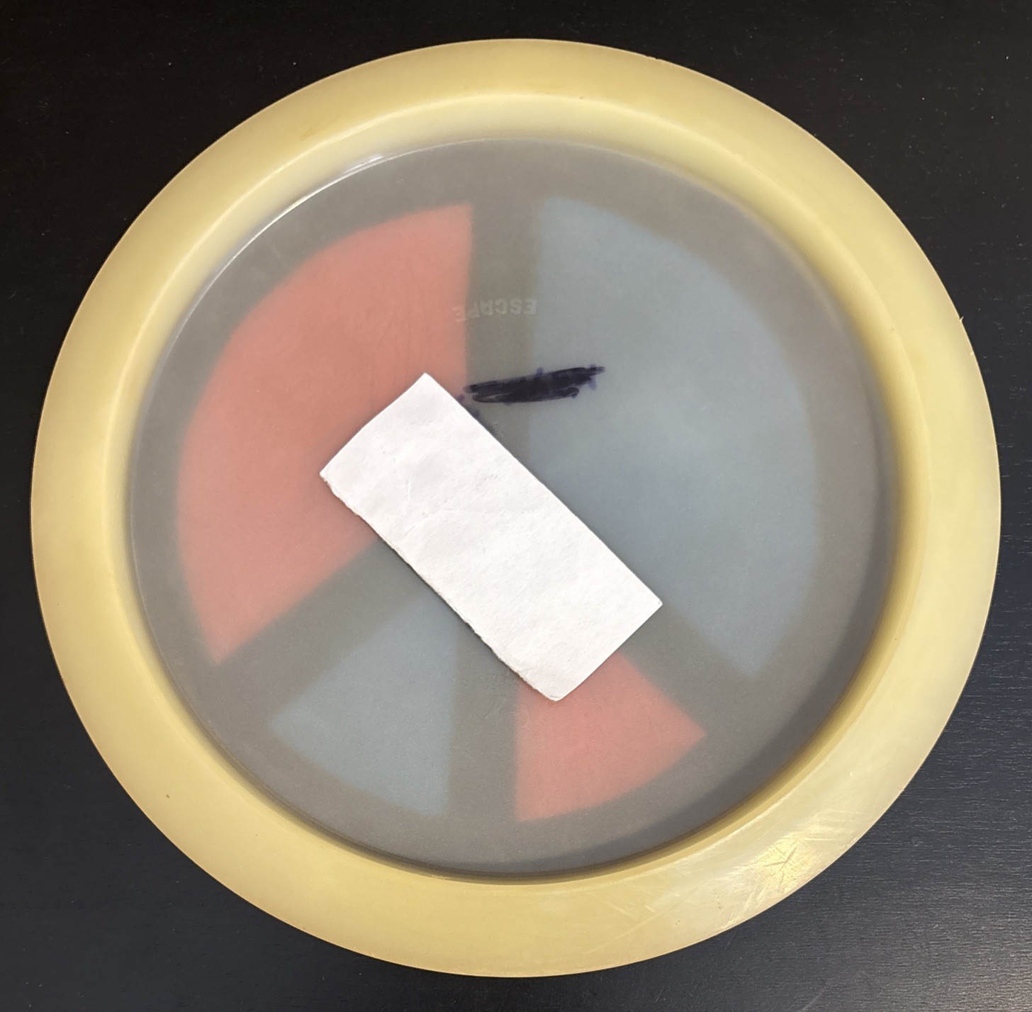 Dynamic Discs Lucid Escape 174 grams