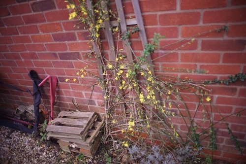 SONY E MOUNT ADAPTED 24MM F2.8 VIVITAR WIDE PRIME LENS ALL A7 NEX,A6000 - Picture 8 of 10