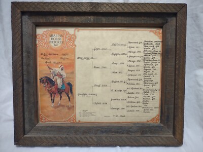 Vtg 1963 Arabian Horse Pedigree B.J.s Arkhana AHRA - Arko Karalette Geym Nima E2