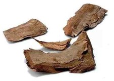 ARJUNA TREE BARK TERMINALIA ARJUNA ARJUN CHAAL CHHAL WHOLE 50-1000gm fast SHIP