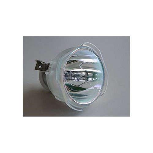 Replacement Lamp Bulb 5J.J1Y01.001 For 