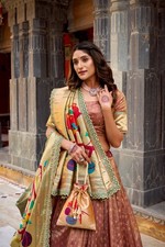 Bollywood Designer Organza Lehenga Choli Bridal Party Wear Outfit
