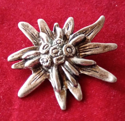 Edelweiß Trachten-Anstecker silberfarben ca. 21 g, 1 Stück - Bild 1 von 4