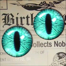 Teal Cat Eyes Glass Taxidermy Realistic Eyeball 16mm Set