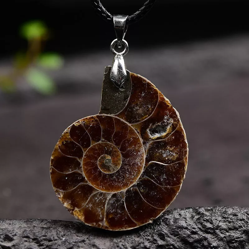 Pendant shell 2024