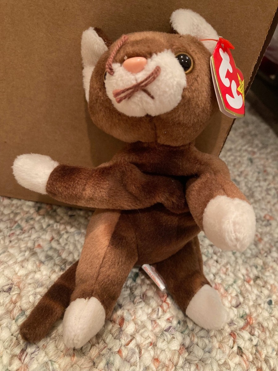 TY The Beanie Babies Collection Pounce the cat