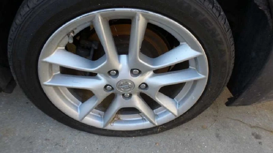 Nissan Máxima 2009-2010 6 discos reproductor de CD MP3 radio estéreo CY28D OEM Foto 4 de 4