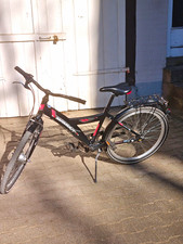 Mammut Trekking Bike Black/Red 7 Speed Hub Gear Rack