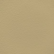 BMW Savannah Leather Dye