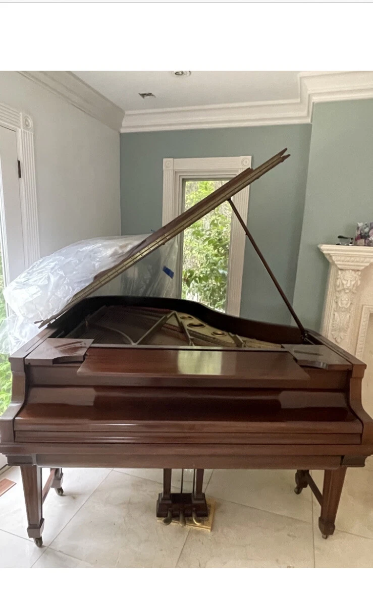 Vintage 2024 grand piano
