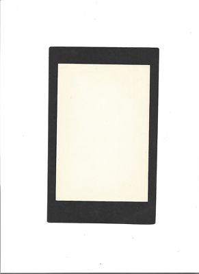 sakura catページ Cute Cat Cherry Blossom Sakura Background Stock Vector (Royalty