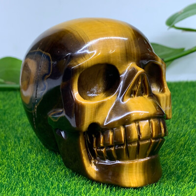 1.55LB A++ Natural Tiger's eye Quartz Hand Carved Skull Crystal Reiki Decor