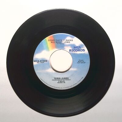 Terri Gibbs - Some Days It Rains All Night Long; Somebody's Knockin' - 45 RPM 7''
