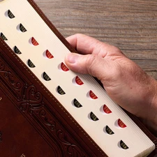 KJV Study Bible Large Print Thumb Index 2 Ribbons BRAND NEW in Box