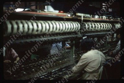 sl12  Original slide 1980's Shanghai Young factory workers 576a
