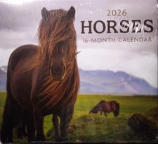 2026 HORSES 16 MONTH WALL  CALENDAR 11"x10" Home Office Gift New Sealed FREE S/H