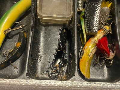 Boite de peche Double Face Daiwa 805 - Leurre de la pêche
