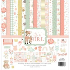 12" x 12" scrapbooking paperpad Echo Park It's a Girl 12 sheets